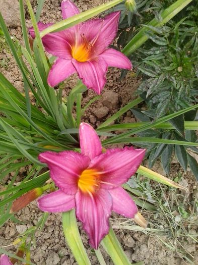 20150704_145749