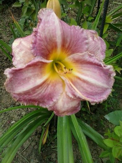 20150704_145831