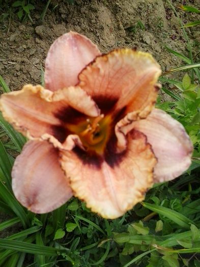 20150704_145914
