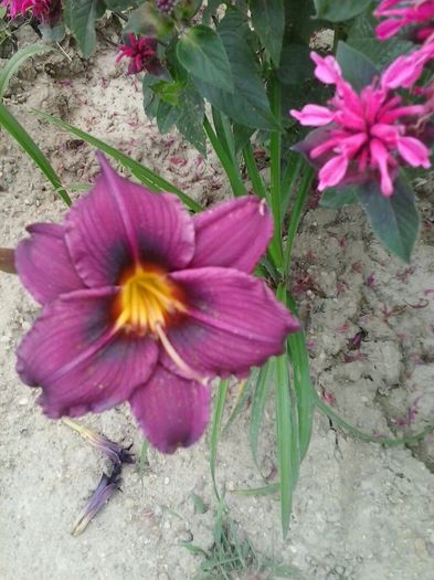 20150704_150030