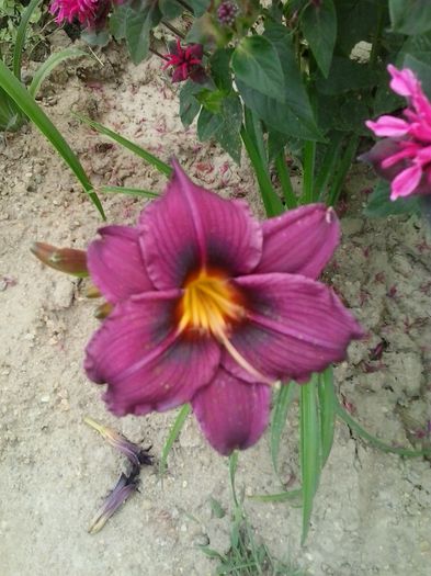 20150704_150032