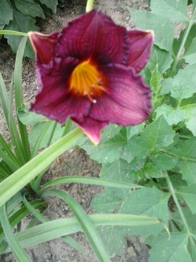 20150704_150045