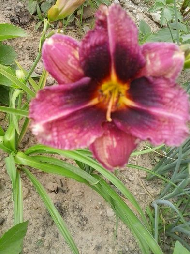 20150704_150058