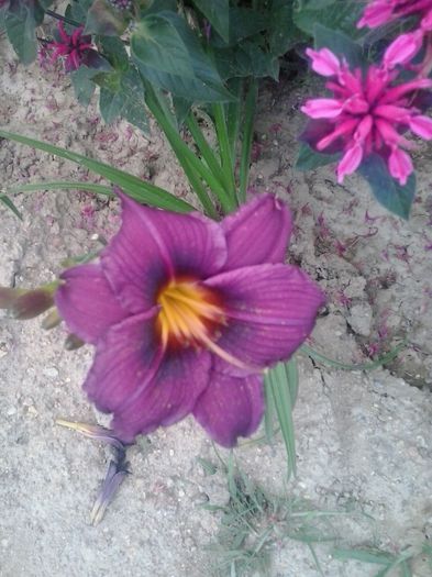 20150704_190851