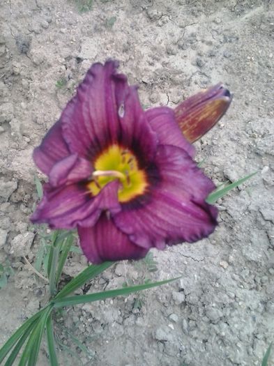20150704_190906