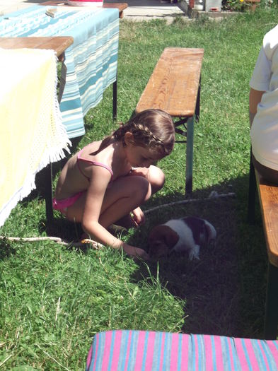 MUNCA DE LAMURIRE PENTRU BAIE; FELIX NU PREA ESTE DISPUS LA O INTRARE IN CIUBAR
