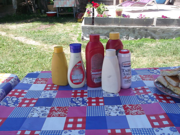 IN ASTEPTAREA MOMENTULUI FIERBINTE