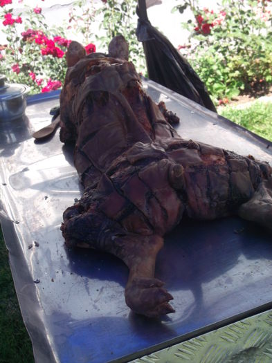 Picture 6529 - ANIVERSARE NIK PUIUTZ