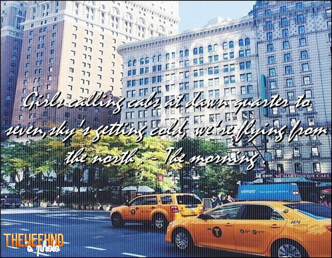 ● ƊƠƁƦЄƔƛƬƠƦ - ƬӇЄ MƠƦƝƖƝƓ .