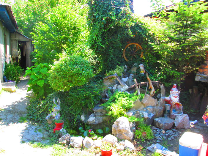 IMG_3997 - MY litlle garden 2015