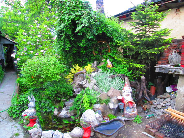 IMG_3638 - MY litlle garden 2015