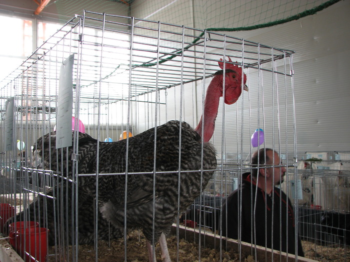 Expozitia Nationala Breaza 2010 098