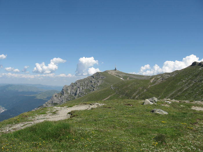 IMG_0779