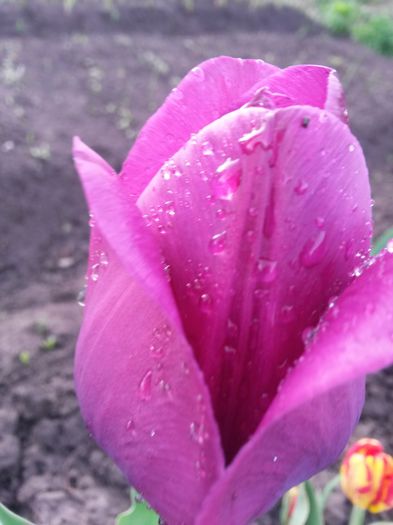 20150505_192503