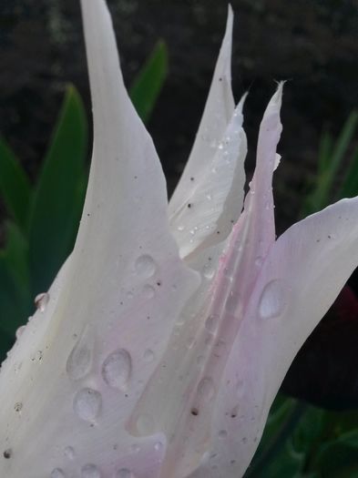 20150505_192506