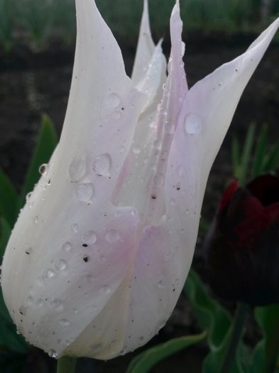 20150505_192523