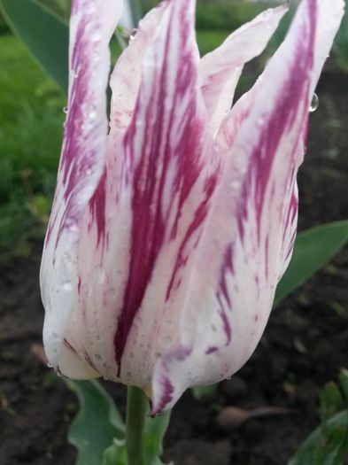 20150505_192534