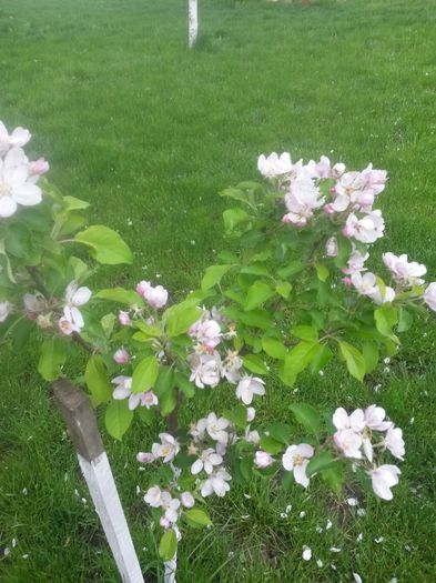 20150507_170919
