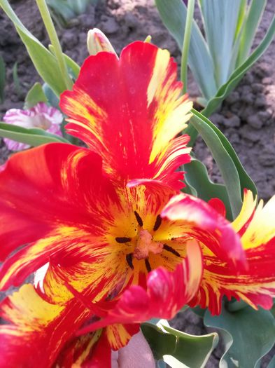 20150509_165840