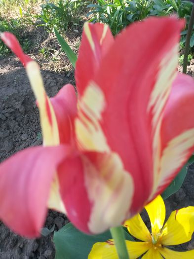 20150509_165923
