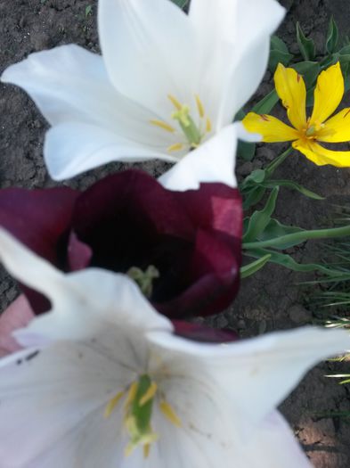 20150509_170000