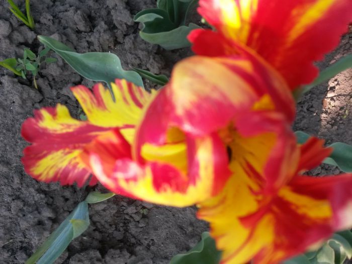20150509_170015