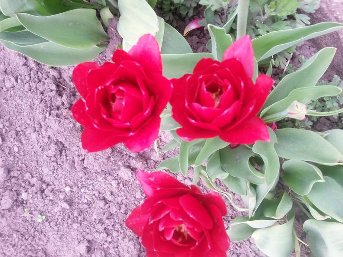 20150511_095614