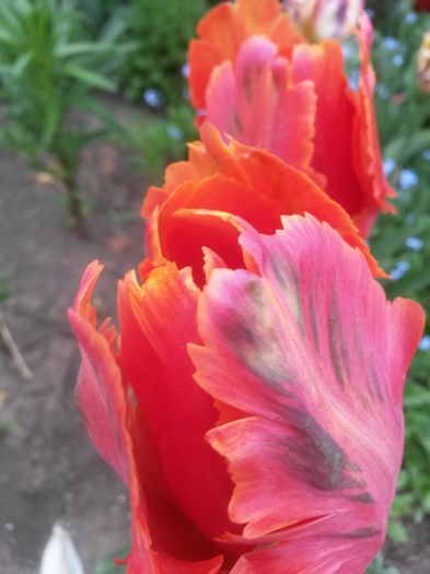 20150511_095659