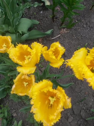 20150511_095739