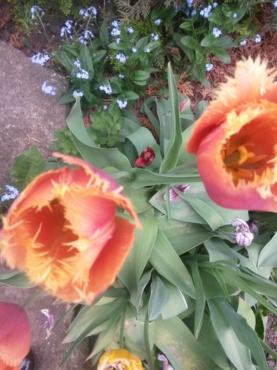 20150511_095759