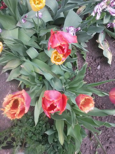 20150511_095803