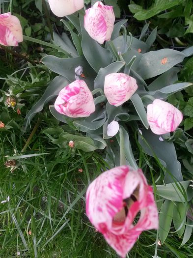 20150511_100419