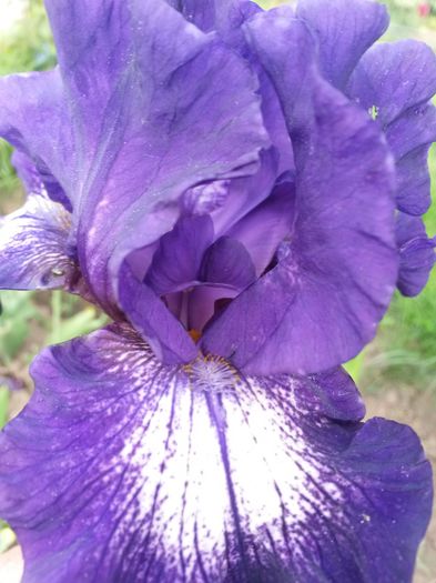 20150522_175243