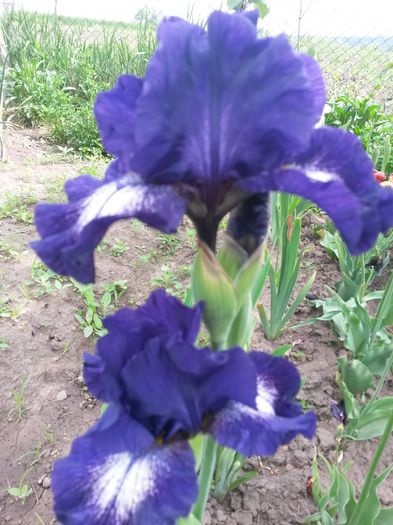 20150523_103503