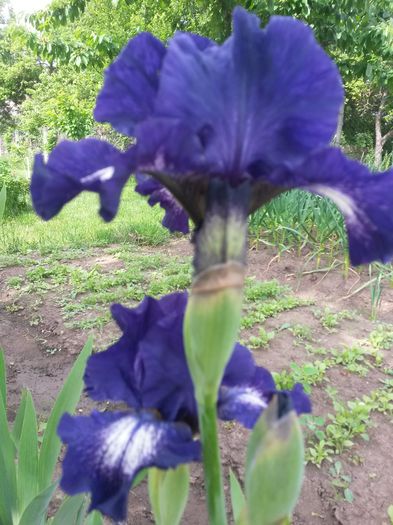 20150523_103614