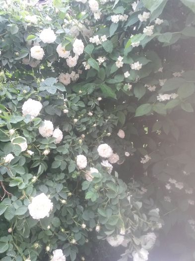 20150604_085649