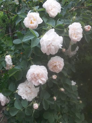 20150604_085702