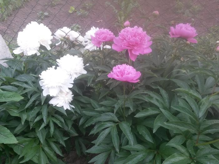 20150604_085910