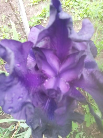 20150604_090019