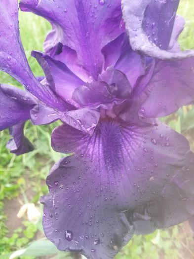 20150604_090039