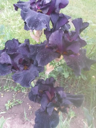 20150604_090104
