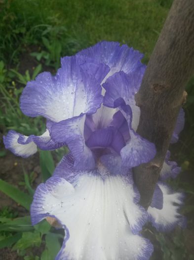 20150604_090108