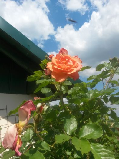 20150609_151519