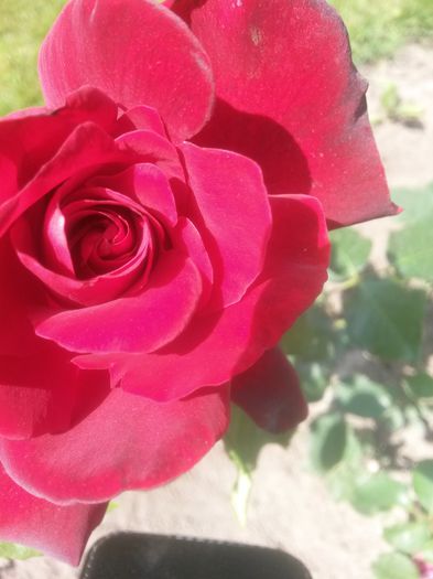 20150609_151607