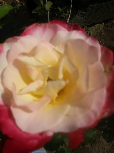 20150609_151624