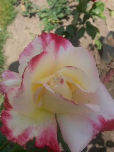 20150609_151646