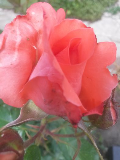 20150609_151746