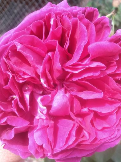 20150609_151826