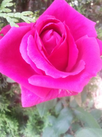 20150609_151905