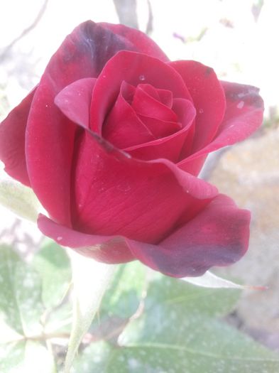 20150609_151927